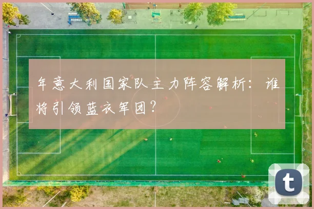 年意大利国家队主力阵容解析：谁将引领蓝衣军团？