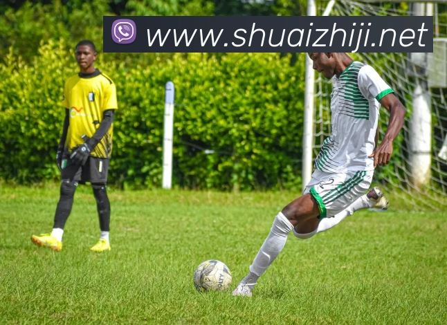 奇异果工作室官网APP 高清赛事图